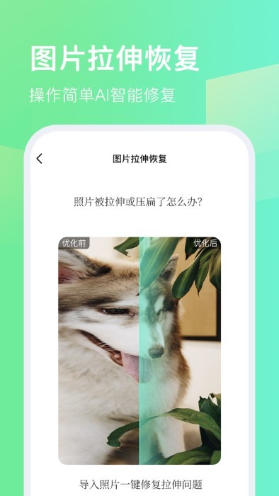 今天拍水印相机app