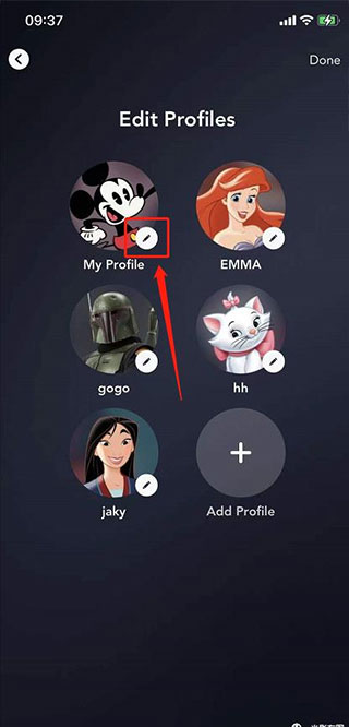 迪士尼plus流媒体平台(Disney+)