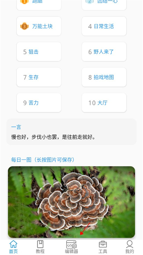 迷你开发者工具箱app最新版