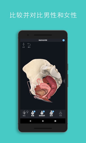 complete anatomy2023中文版