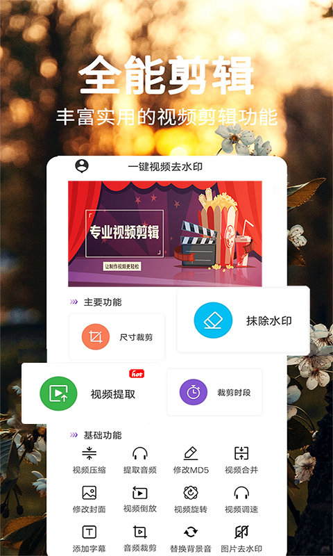 一键视频去水印免费软件