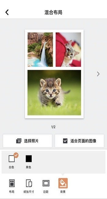 selphy photo layout官方版