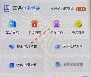 新疆兵團醫(yī)療保障服務平臺
