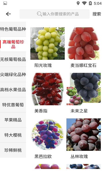 中国果树官方版