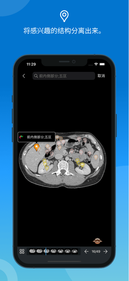 e-anatomy軟件最新版