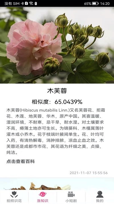 拍照識花神器app