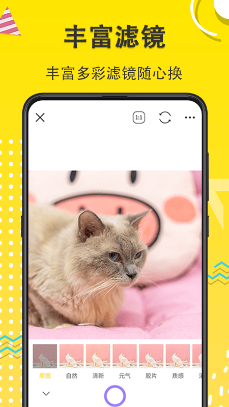 宠物动漫相机手机版(宠物相机)