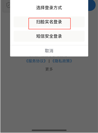 遼寧省電子稅務(wù)局移動辦稅app