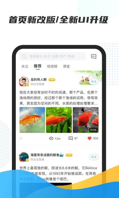 龍巔app