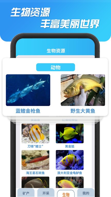 海洋寻宝记app