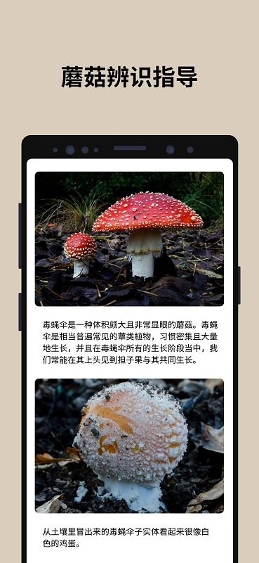 蘑菇识别扫一扫软件中文版(picturemushroom)