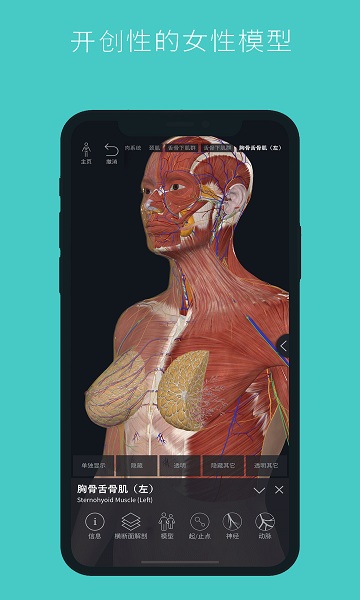 人體3d立體解剖軟件