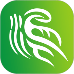 金溫江app