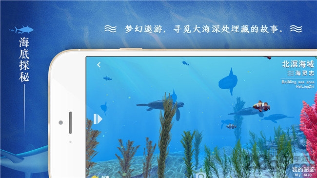 尋海中文版