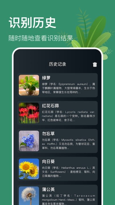 行色識(shí)花識(shí)植物手機(jī)版