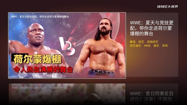wwe大視界tv版