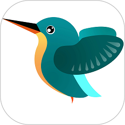 kingfisher攝像頭手機版