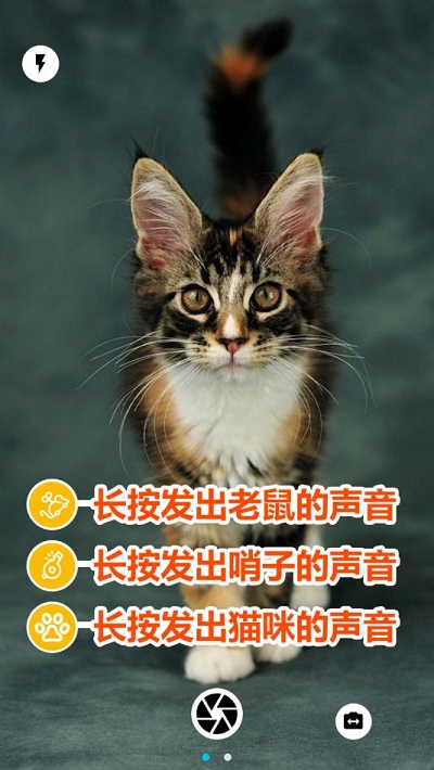 猫咪相机app