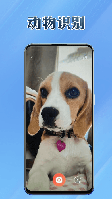 多能盒子app