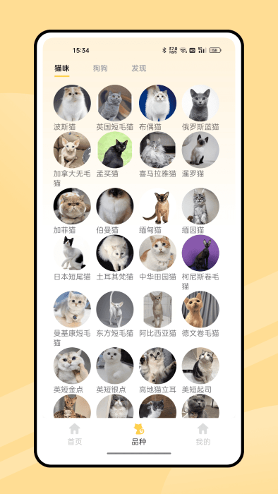弛意有宠app