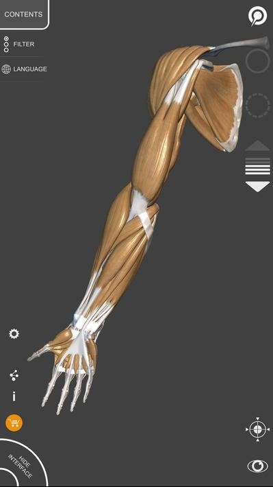 艺术家之3d解剖图app安卓(3d anatomy for the artist)