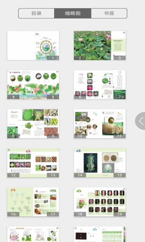 慕知学堂app