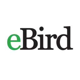 ebird鳥類觀察記錄app