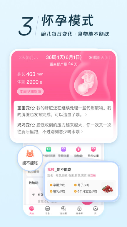 美柚經(jīng)期軟件