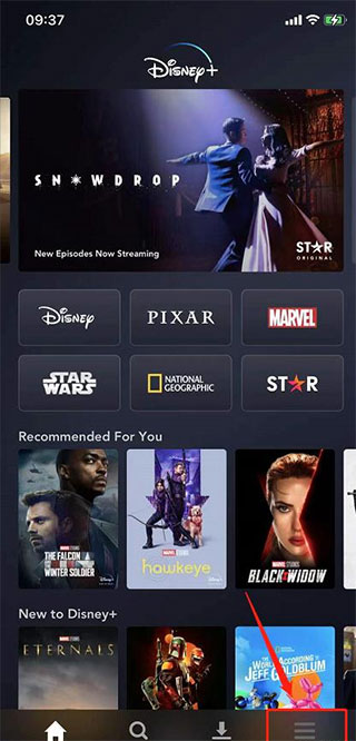 迪士尼plus流媒体平台(Disney+)