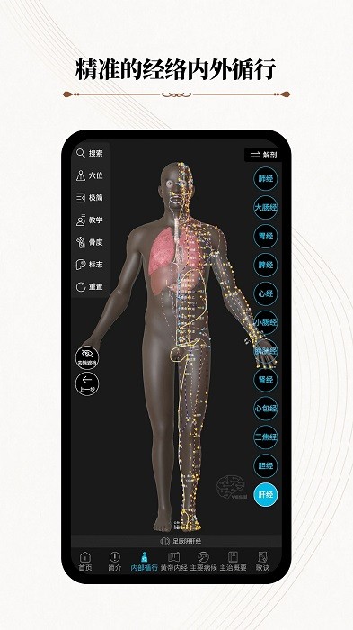 中醫經絡腧穴app(改名針灸大師)