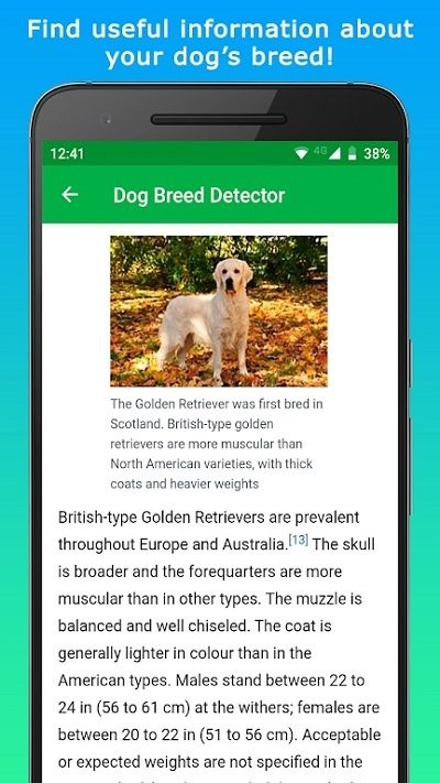 doggy软件