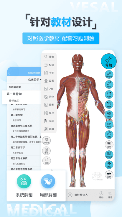 维萨里3d解剖app