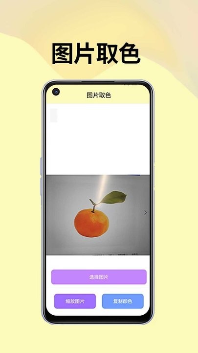 皮皮袋工具箱
