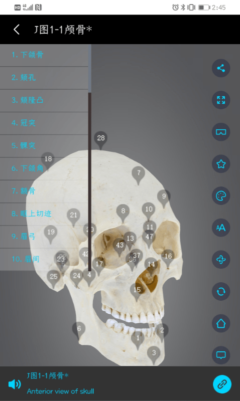 医维度解剖app(又名医维度人体解剖)
