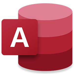  Microsoft Access