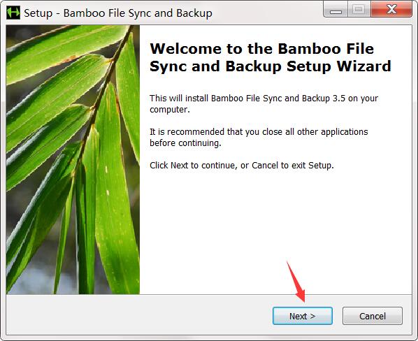 Bamboo File Sync and Backup