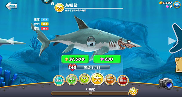 饑餓鯊世界國際服正版(Hungry Shark World)