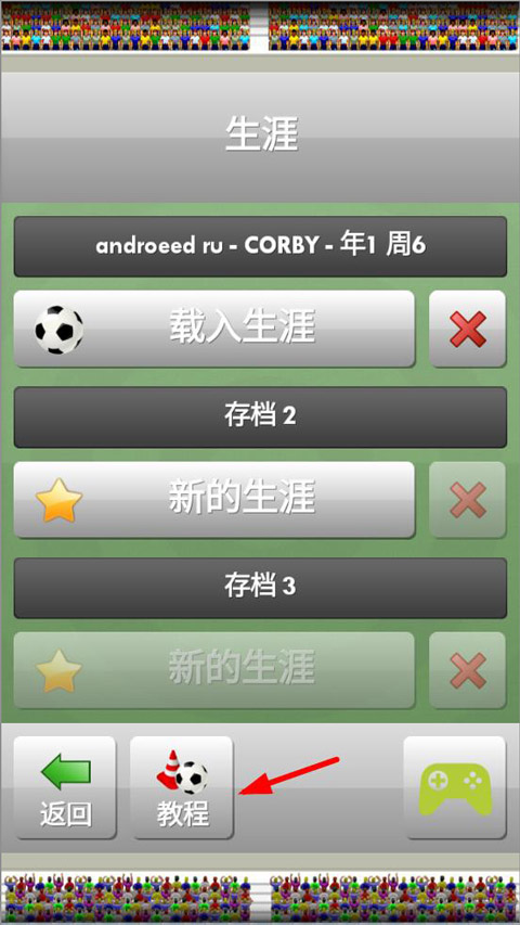 新星足球游戏中文版(New Star Soccer)