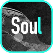 Soul 3.8.6