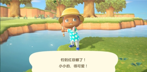 動物森友會安卓中文版最新版(Pocket Camp)