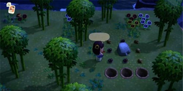 動物森友會安卓中文版最新版(Pocket Camp)