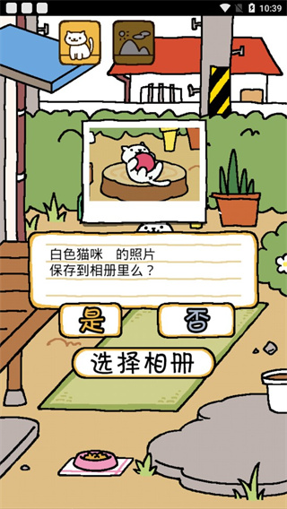 貓咪后院中文版