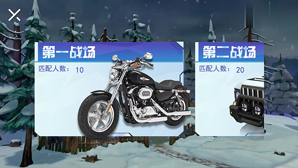**熊的秘密游戏