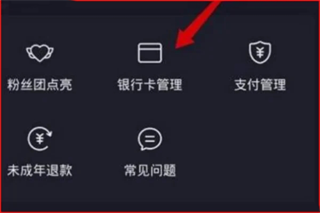 抖音極速版2024最新版APP
