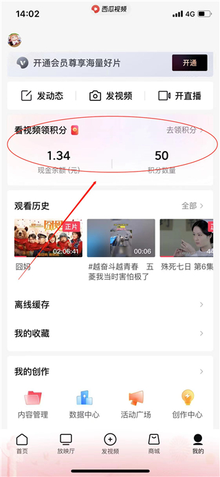 西瓜視頻極速版app