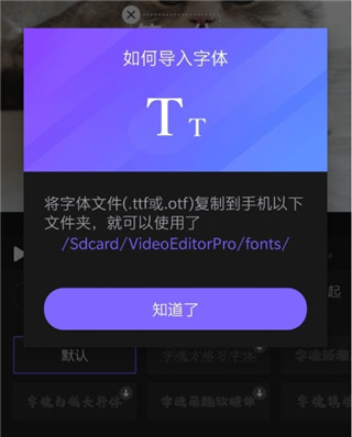 VivaCut官方版