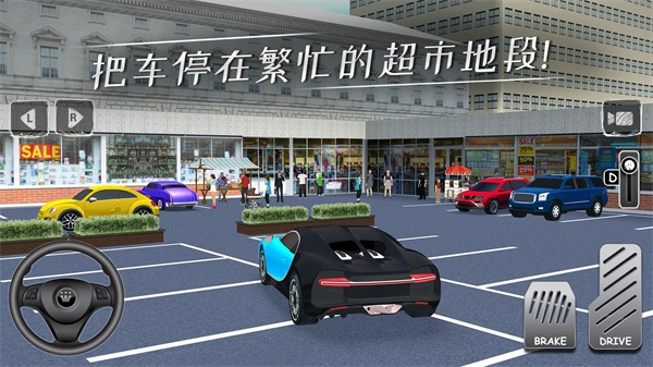 停車專家中文最新版