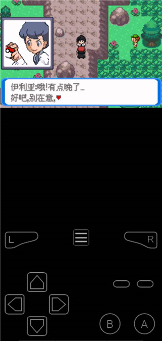 口袋妖怪決心漢化版