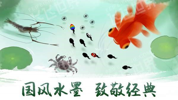 鱼戏荷塘官方正版