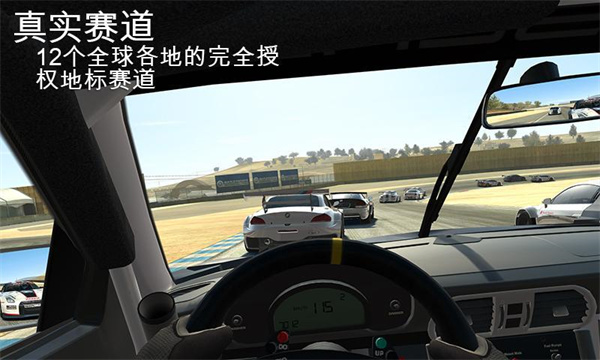 真實(shí)賽車3(Real Racing3)存檔版